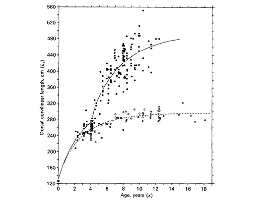 Male and female growth curves