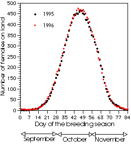 Haul out pattern of females