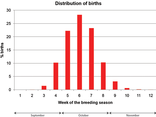 Birth distribution