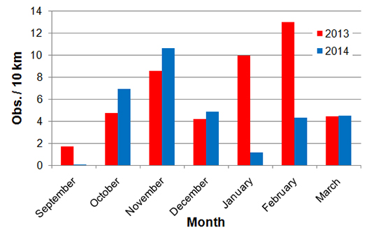 Sightings per observations