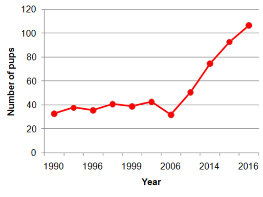 Sea lion demography - ESRG