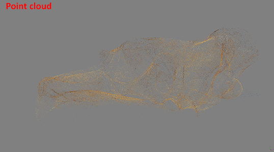 Point cloud